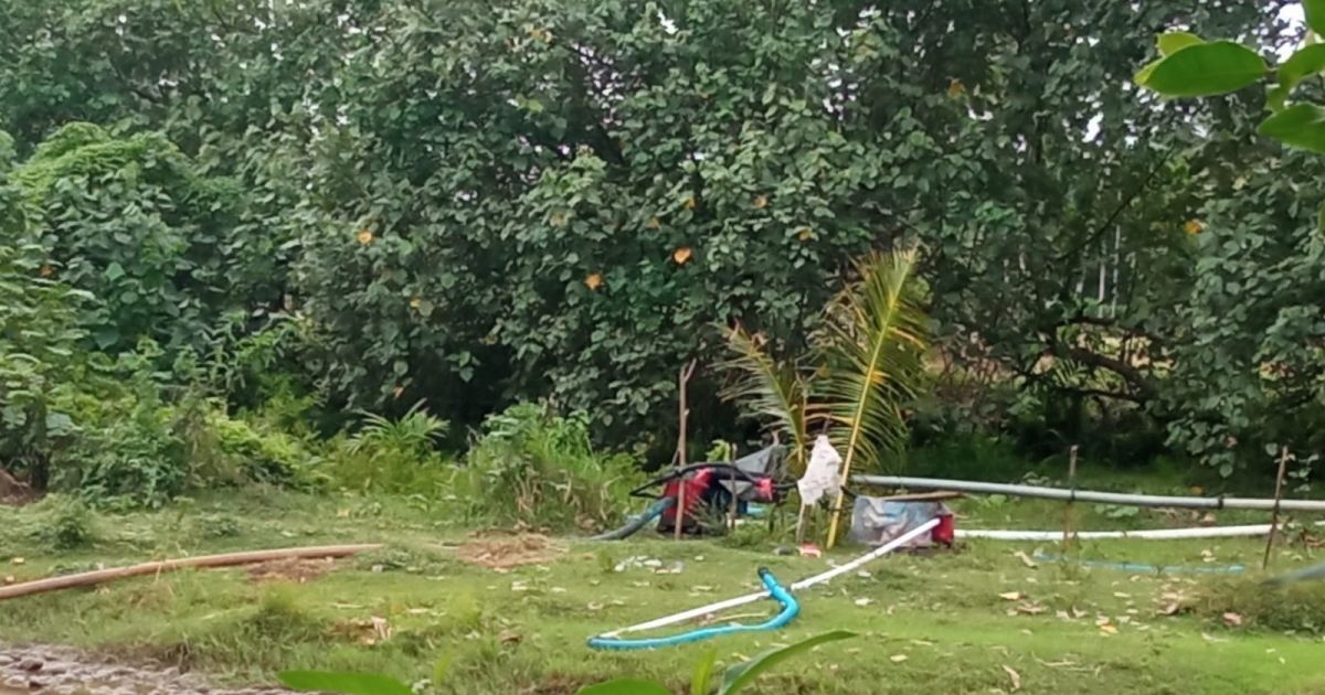 Diduga Tak Miliki Izin, Tambang Pasir di Kecamatan Lemong Pesisir Barat Lampung Terus Beroperasi