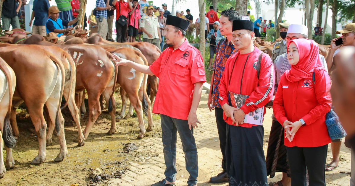 Ketua DPC PDI Perjuangan Kabupaten Sumenep, Achmad Fauzi Wongsojudo didampingi Sekretaris dan Bendahara Saat Penyaluran Hewan Kurban di halaman Masjid Fathimah Binti Said Ghauzan, Kecamatan Manding. (Foto : Istimewa).