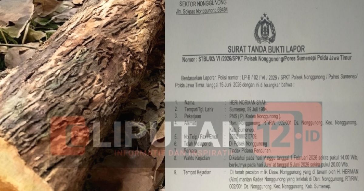 Aset Desa Diduga Dijarah, Puluhan Pohon Jati ditebang tanpa Ijin, Pj. Kades Nonggunong Minta Polisi Segera Amankan Barang Bukti