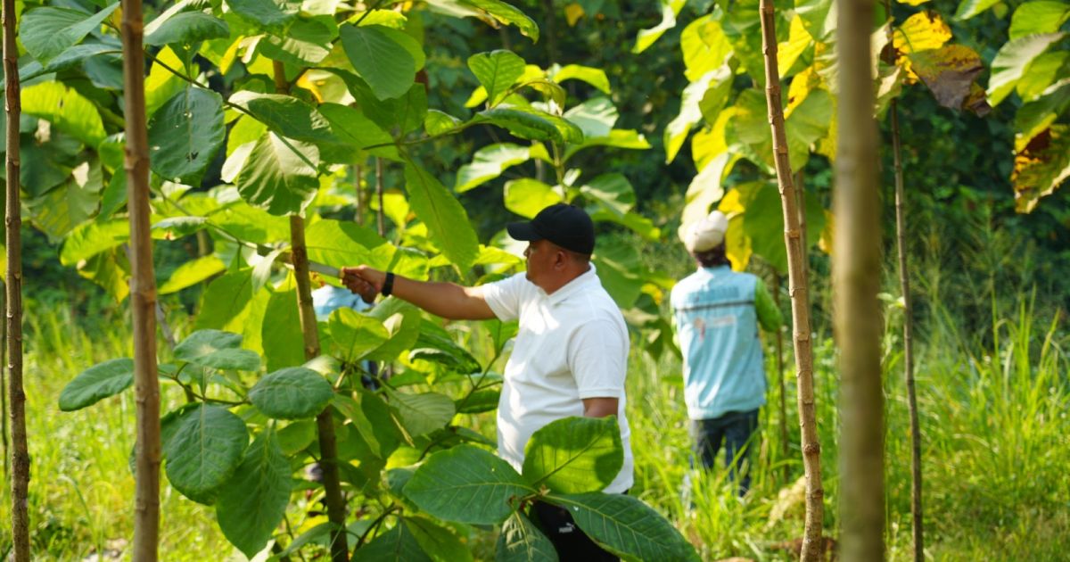 Sukses Tanam 45.000 Lebih Pohon di Hutan Kota: Bupati Rudy Susmanto Berharap Jadi Warisan Hijau dan Sehat bagi Generasi Mendatang