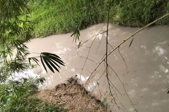 Usai Picu Hujan Abu, Limbah PT Indocement Kini Diduga Cemari Sungai Cijere Bogor