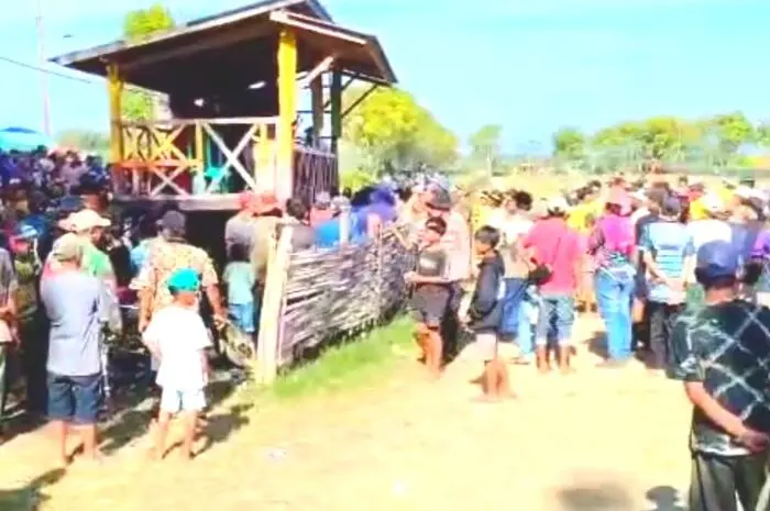 Warisan Budaya Nyaris Tercoreng, Panitia Kerapan Sapi di Sapudi Dinilai Tak Profesional