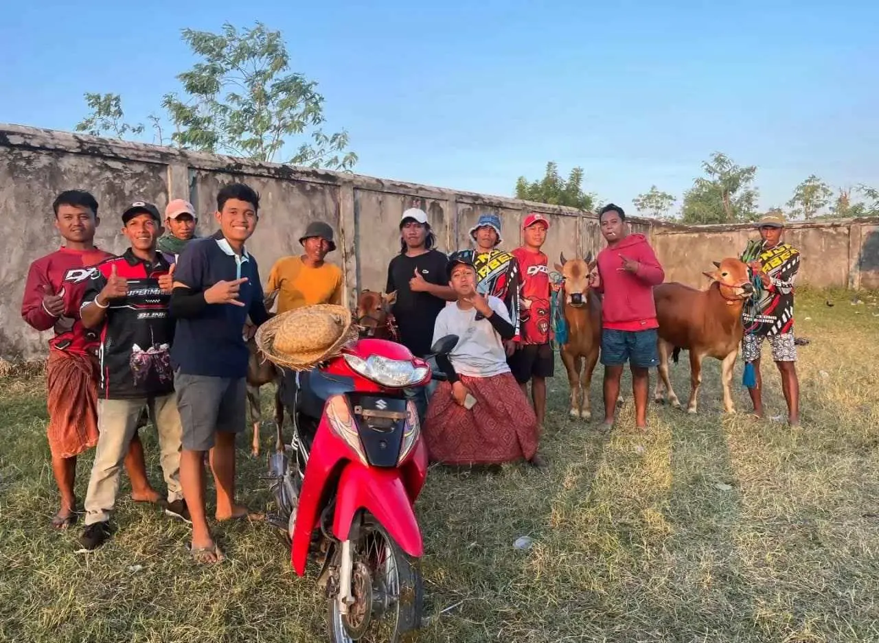 Perdana Turun Arena, Tim Sapi Takbir Sakti Milik H. Sultan Akbar Sumenep langsung podium pada Pagelaran kerapan se-Madura di Kabupaten Sampang