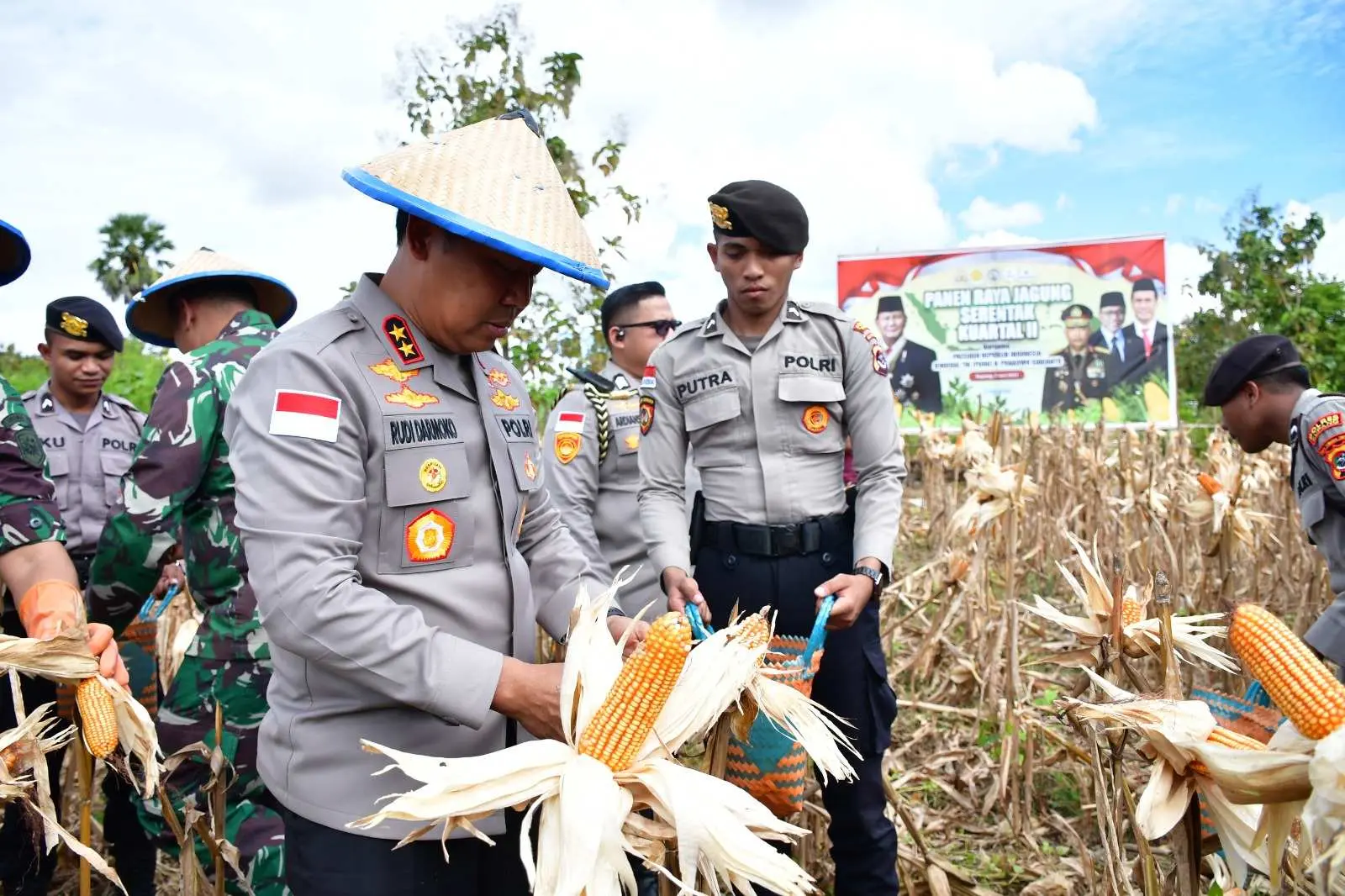 Pimpin Panen Raya Jagung Serentak, Irjen Pol Rudi Darmoko Dorong NTT Jadi Lumbung Pangan Nasional