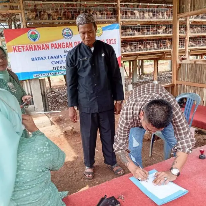 Tingkatkan Ketahanan Pangan, Pemerintah Desa Cimulang Lewat BUMDes Kembangkan Usaha Budidaya Ayam Petelur