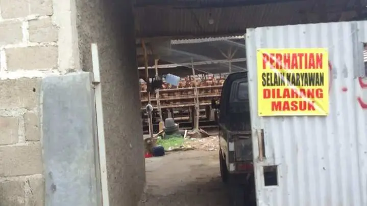 Hendak Dikonfirmasi Terkait Izin Kandang Ayam yang Diduga Meresahkan Warga, Kades Pabuaran dan Camat Gunung Sindur Tak Pernah di Tempat