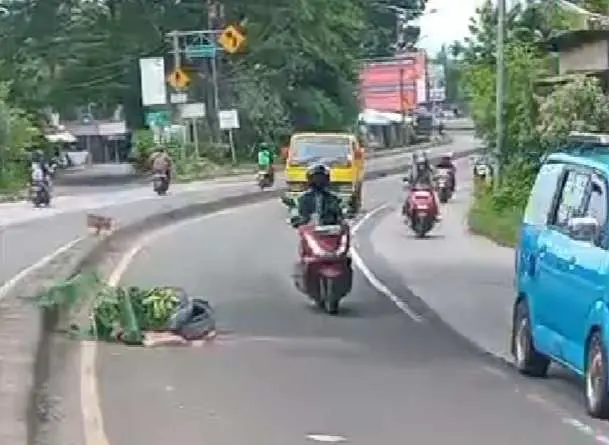 Minim PJU dan Berlubang, Jalan Raya Kemang Berpotensi Membahayakan Pengguna Jalan