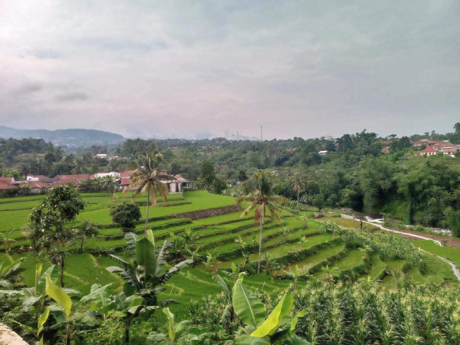 Miliki Panorama Alam Pegunungan, Gunung Bunder 2 di Pamijahan Bogor Jadi Tujuan Wisata