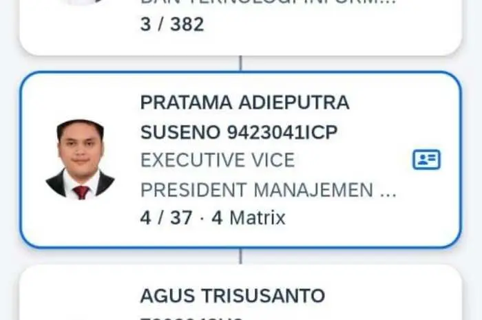 Yuk Kenalan dengan EVP PLN Termuda, Punya Istri Artis yang Kini Juga Jadi Pegawai PLN