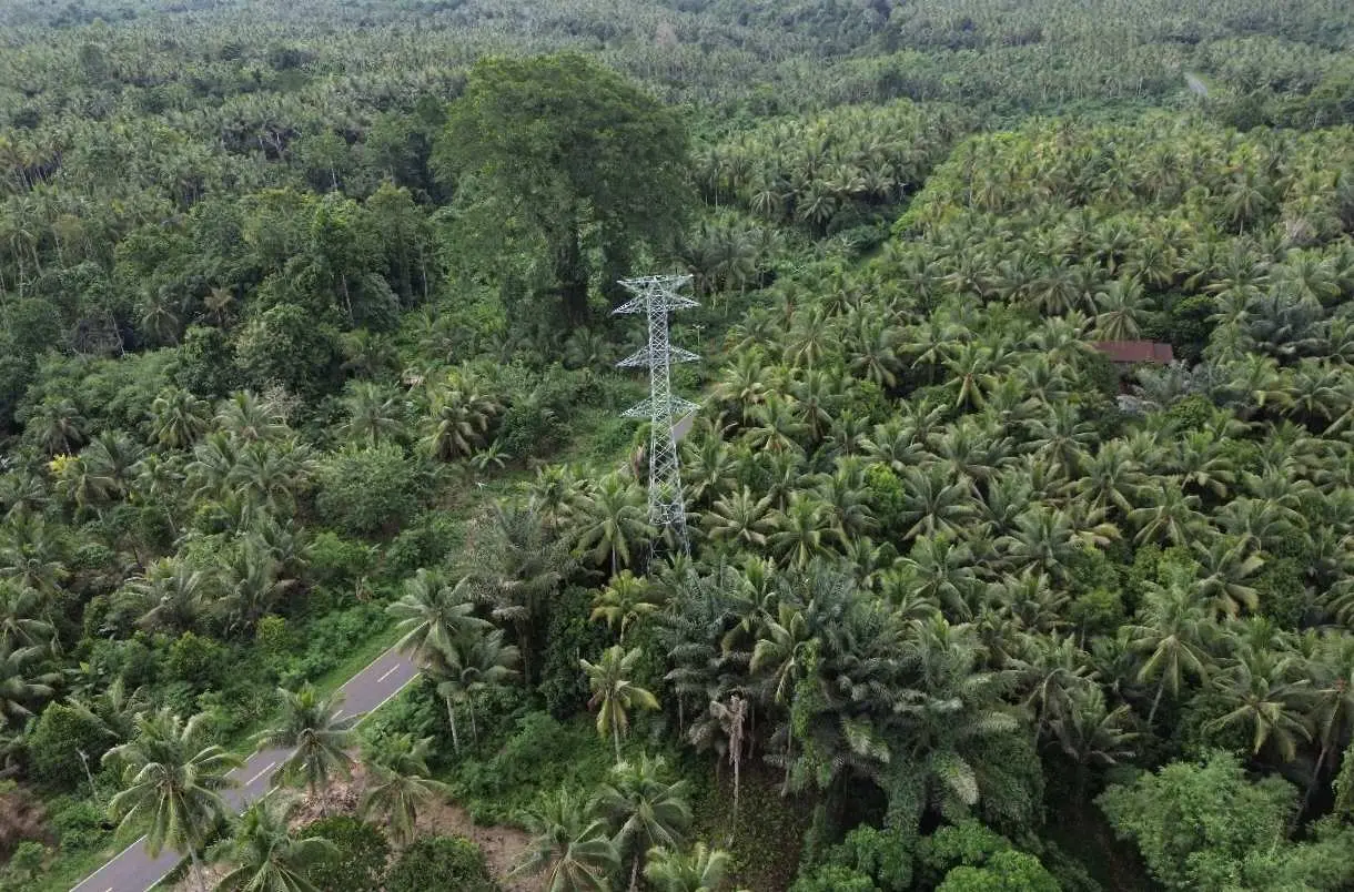 Dukung Keandalan Listrik di Pulau Halmahera, PLN UIP MPA Bangun 577 Tower Transmisi 150 kV