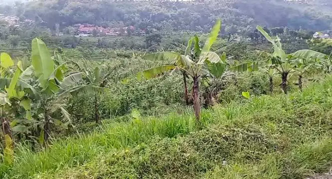 Peduli Pemeliharaan dan Pelestarian Lingkungan Hidup, PT Inagro Susun Dokumen AMDAL Usaha Agrowisata