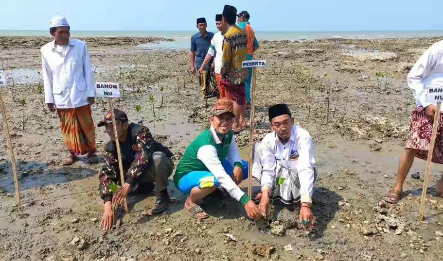 Hadapi Pemanasan Global, PCNU Sumenep Kompak Tanam Ratusan Mangrove di Pantai Matahari