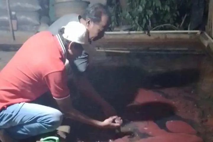 Ingin Jokowi Datang, Rakyat Bertani Cacing Sutra Tangerang akan Berdikari dan Buat Kampung Wisata