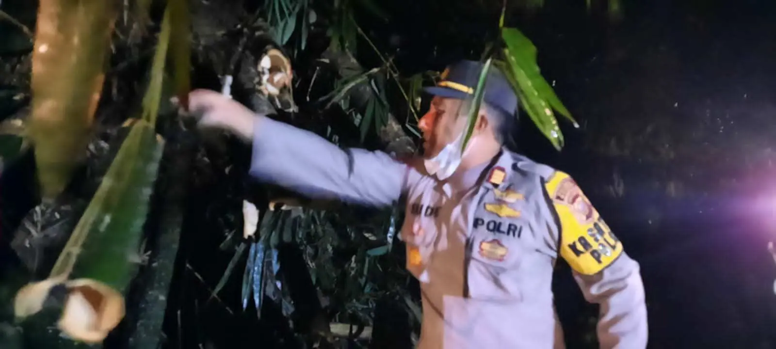 Pohon Tumbang Putus Akses Jalan Warga, Kapolsek Nanggung Terjun Langsung Melakukan Evakuasi