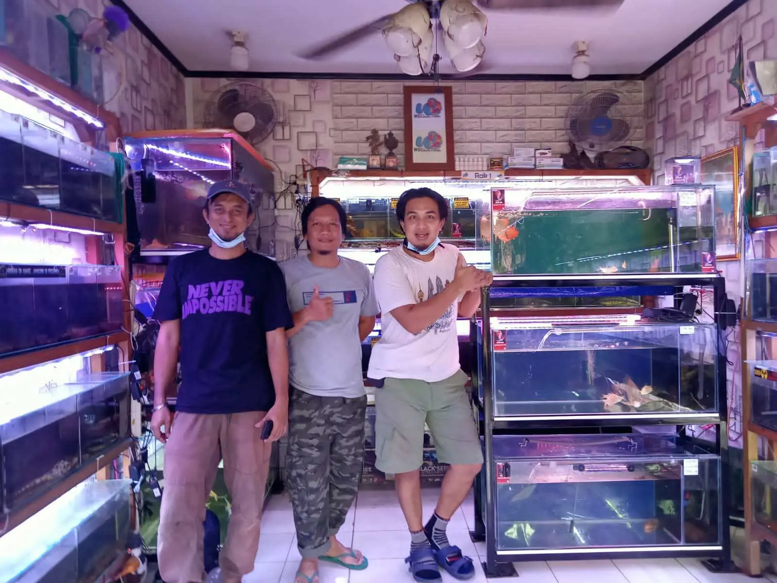 Meski Pandemi Melanda, Omset Kios Ikan Hias WNC di Pasar Parung Kian Meningkat