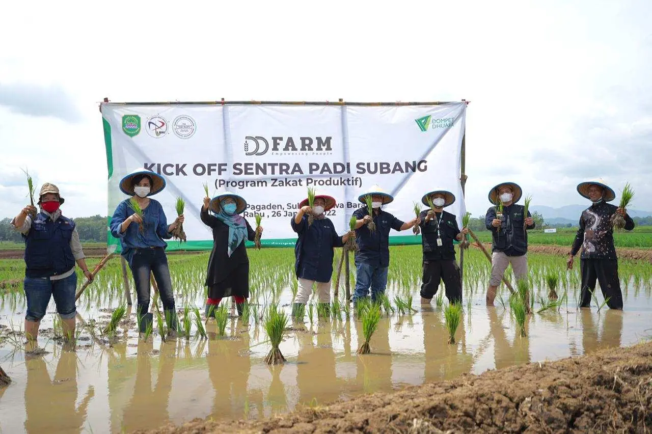 Kick Off Dompet Dhuafa Farm Sentra Padi, Bukti Kekuatan Zakat Produktif Bangkitkan Agrobisnis