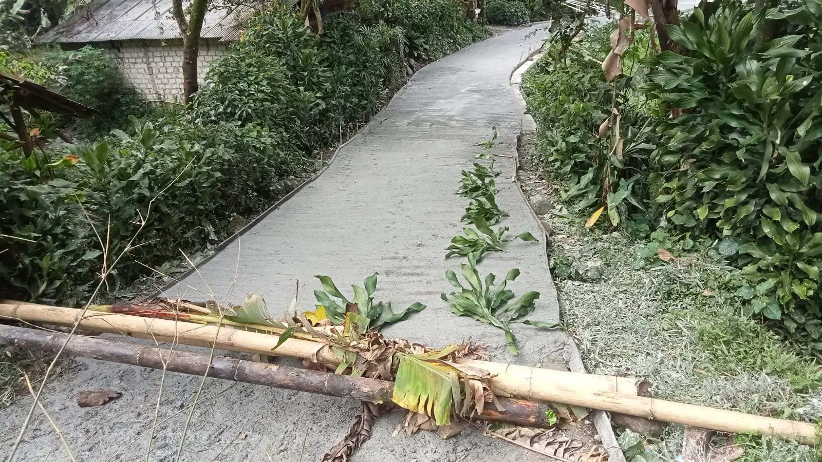 Dugaan Tidak Berfungsinya Tim Verifikasi, Kades Ciasihan Justru Ditengarai Berikan Keterangan Palsu