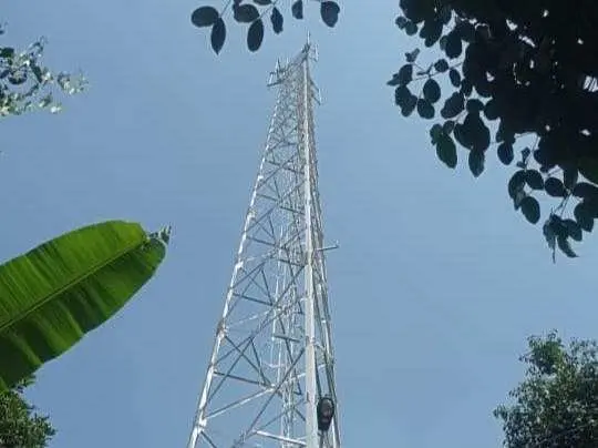 Soroti Kian Menjamurnya Tower Tak Berizin, Ketua DPD LSM IMW: Akibat Lemahnya Penegakan Hukum