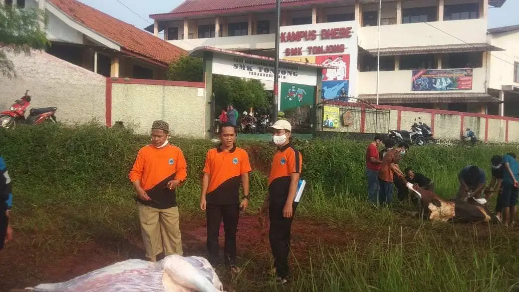 Sembelih 2 Ekor Sapi, SMK Tonjong Tajurhalang Bagikan Daging Kurban untuk Warga Sekitar