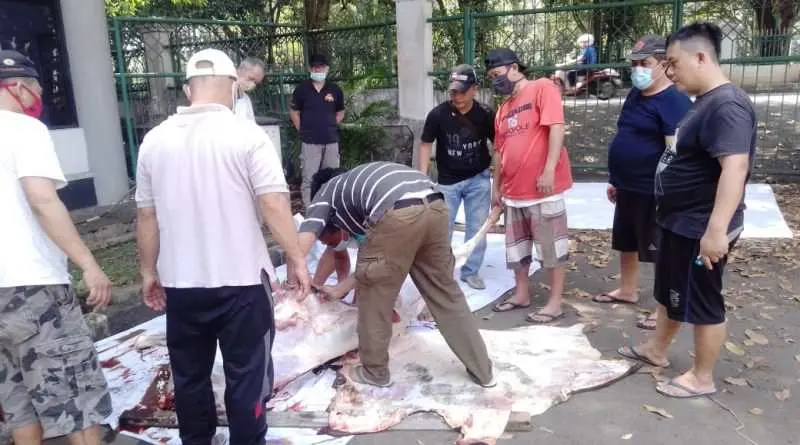 Berkurban 1 Ekor Sapi, Em Liswandi: Semoga Menjadi Berkah bagi Seluruh Pengurus dan Anggota