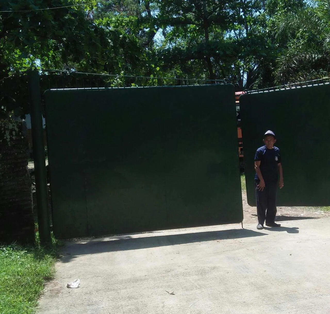 Timbulkan Bau Tak Sedap, Ternak Sapi di Desa Sumurbatu Dikeluhkan Warga