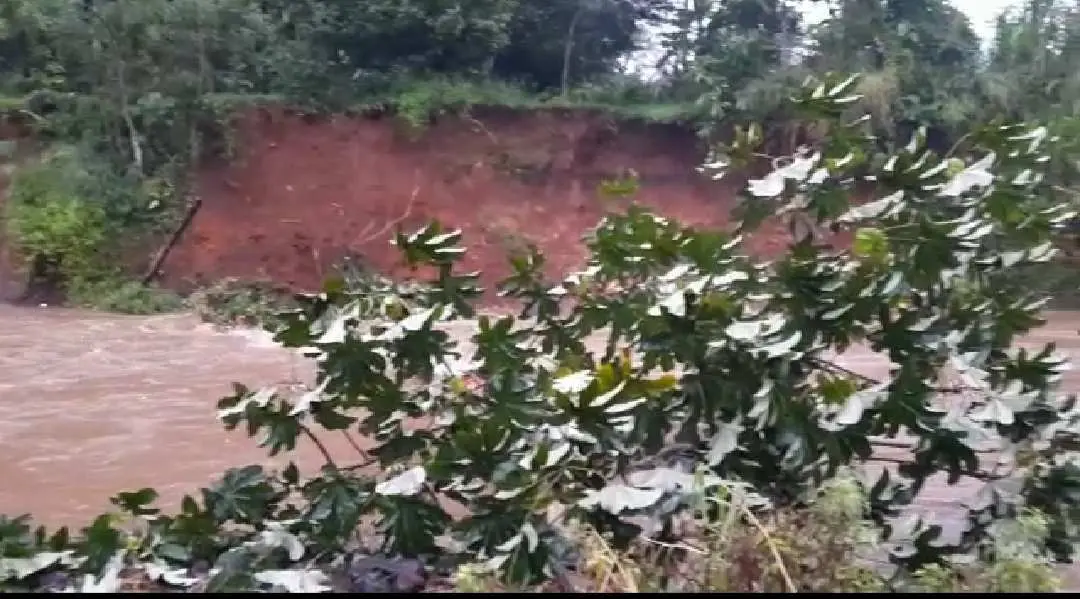 Tebing Tanah Kali Cisadane Longsor Akibat Intensitas Hujan Cukup Tinggi