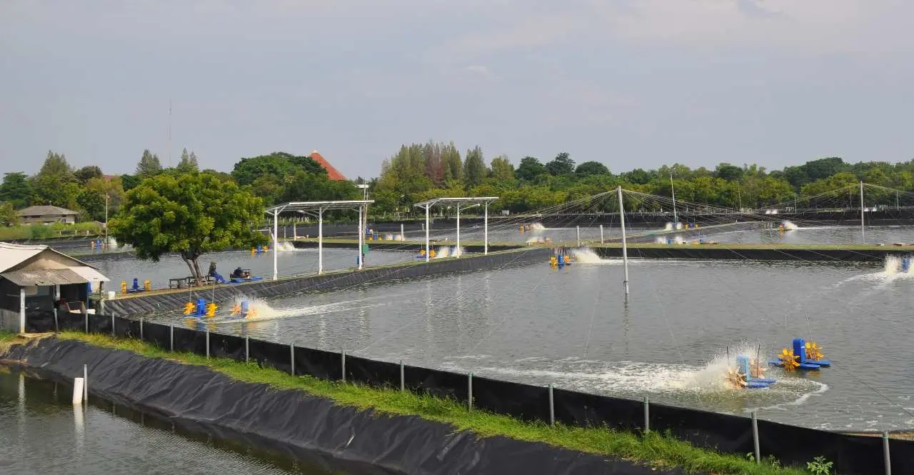 Slamet Soebjakto: ASN Milenial Harus Jadi Agen Pembangunan Sektor Perikanan Budidaya