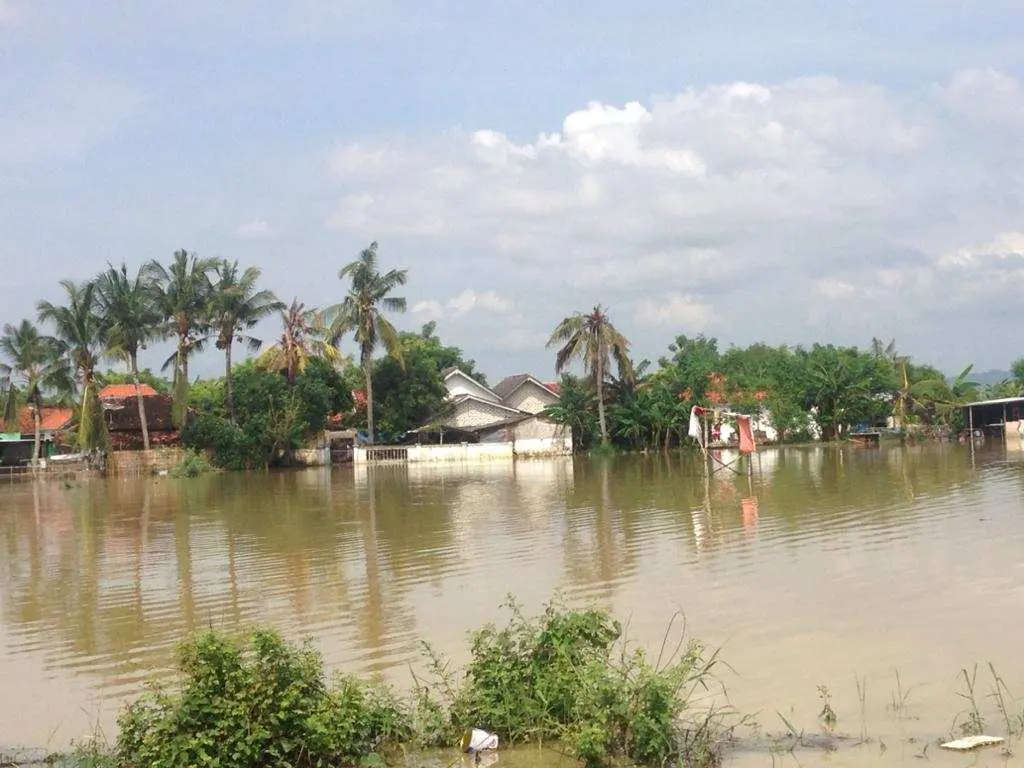 Puluhan Hektar Tanaman Padi di Kecamatan Batuan Terendam Banjir, Petani Terancam Gagal Panen