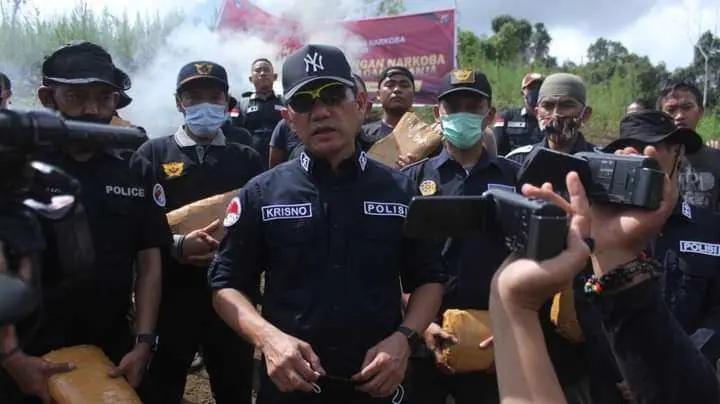 Bareskrim Polri Musnahkan 5 Hektare Ladang Ganja di Sumut