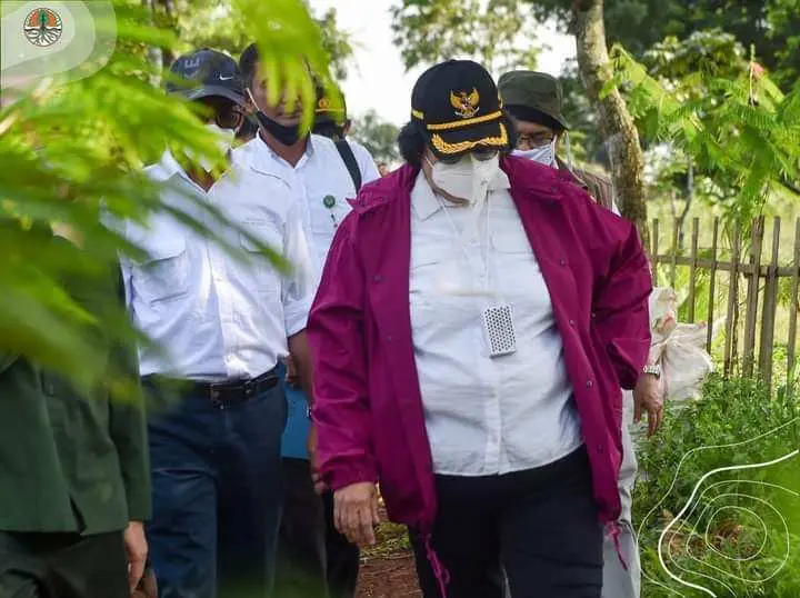 Menteri LHK Kunjungi KHDTK Rumpin, Jadikan Percontohan Pemulihan Lingkungan melalui RHL