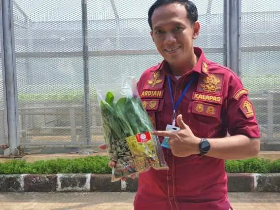 Hidroponik, Alternatif Pembinaan Warga Binaan Lapas Cibinong di Masa Pandemi Covid-19