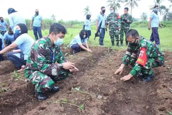 Dukung Ketahanan Pangan, Prajurit Lanud JB Soedirman Kembali Menanam Ratusan Bibit Cabai