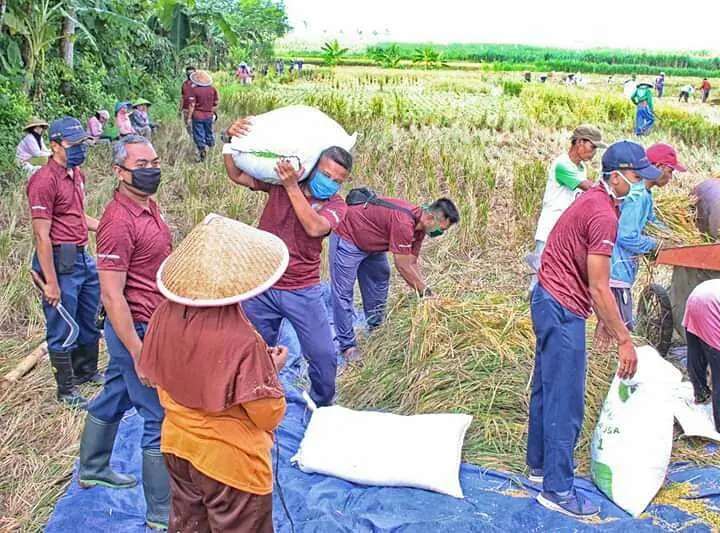 Dukung Program Pemerintah, Danlanud JB Soedirman Ajak Personil Manfaatkan Lahan Kosong