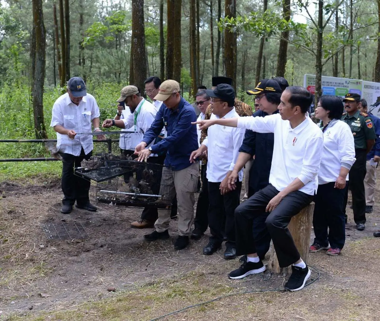 Jaga Kelestarian di Habitat, Presiden Lepas Dua Elang Jawa di TNGM