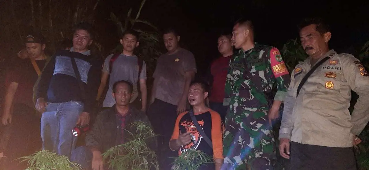 Kabid Humas Polda Jabar: Pohon Diduga Ganja Ditemukan di Lereng Curug Cileungsing Kab. Garut