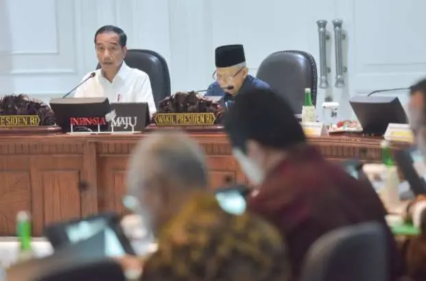Jokowi Soroti Ribuan Bumdes Yang Tidak Beroperasi