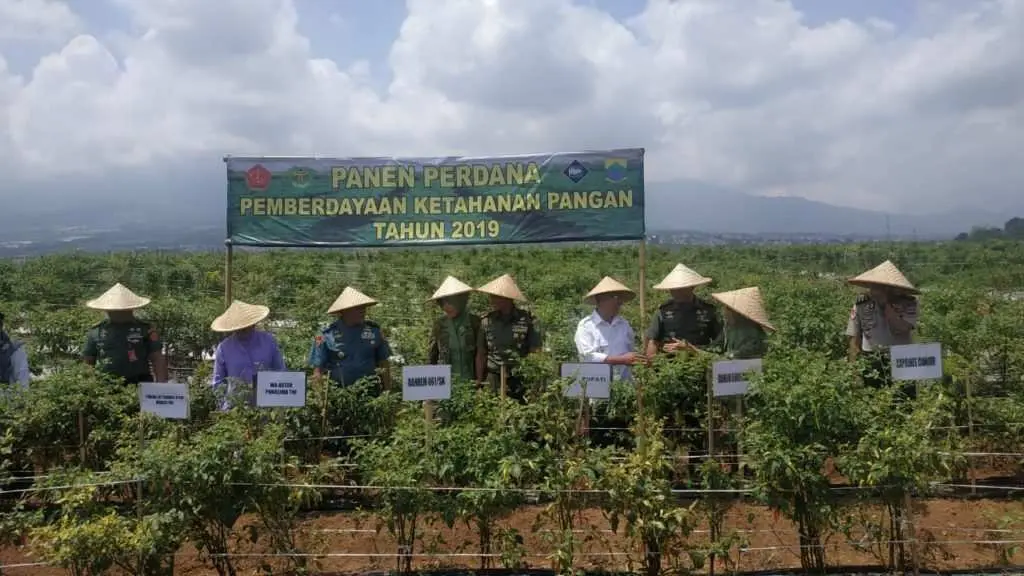 Danrem 061/SK Bersama Waaster Mabes TNI Petik Cabai di Kebun Kodim 0608/Cianjur